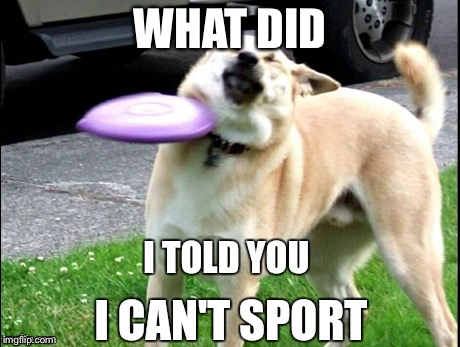 Hitting By the Freeze bee ( Doge| Know your Meme ) | WHAT DID | image tagged in doge,hit,hurt | made w/ Imgflip meme maker