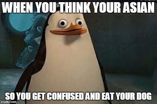 Madagascar penguin | WHEN YOU THINK YOUR ASIAN; SO YOU GET CONFUSED AND EAT YOUR DOG | image tagged in madagascar penguin | made w/ Imgflip meme maker