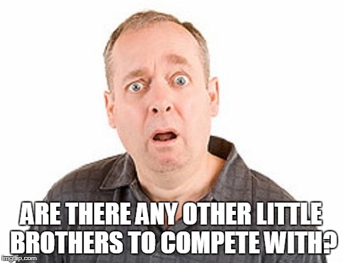ARE THERE ANY OTHER LITTLE BROTHERS TO COMPETE WITH? | made w/ Imgflip meme maker