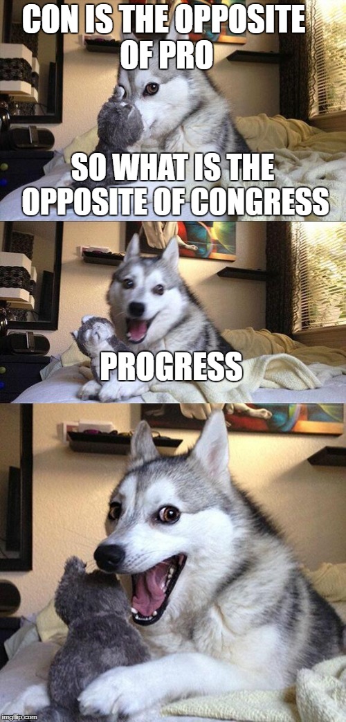 Bad Pun Dog | CON IS THE OPPOSITE OF PRO; SO WHAT IS THE OPPOSITE OF CONGRESS; PROGRESS | image tagged in memes,bad pun dog | made w/ Imgflip meme maker