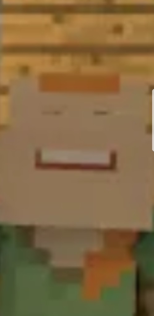 High Quality THE FACE YOU MAKE WHEN YOUR IN MINECRAFT Blank Meme Template