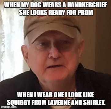 Dan For Memes | WHEN MY DOG WEARS A HANDKERCHIEF SHE LOOKS READY FOR PROM; WHEN I WEAR ONE I LOOK LIKE SQUIGGY FROM LAVERNE AND SHIRLEY. | image tagged in dan for memes | made w/ Imgflip meme maker