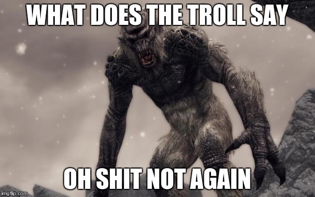 Skyrim Frost Troll | WHAT DOES THE TROLL SAY; OH SHIT NOT AGAIN | image tagged in skyrim frost troll | made w/ Imgflip meme maker