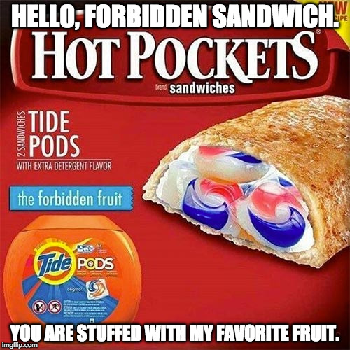 The Forbidden Sandwich | HELLO, FORBIDDEN SANDWICH. YOU ARE STUFFED WITH MY FAVORITE FRUIT. | image tagged in tide pods,memes,hot pockets | made w/ Imgflip meme maker