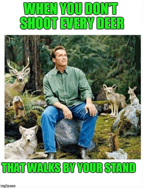 Just so you know, I could have killed you. | WHEN YOU DON'T SHOOT EVERY DEER; THAT WALKS BY YOUR STAND | image tagged in beautiful nature | made w/ Imgflip meme maker