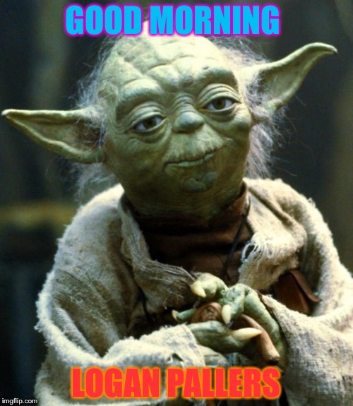 Star Wars Yoda Meme | GOOD MORNING; LOGAN PALLERS | image tagged in memes,star wars yoda | made w/ Imgflip meme maker