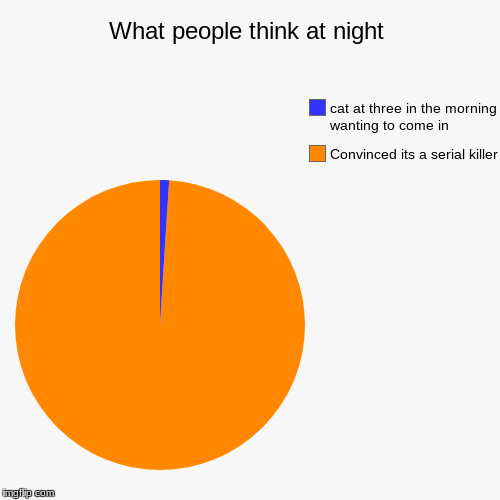 What people think at night | Convinced its a serial killer, cat at three in the morning wanting to come in | image tagged in funny,pie charts | made w/ Imgflip chart maker