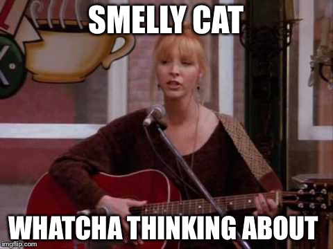 SMELLY CAT WHATCHA THINKING ABOUT | made w/ Imgflip meme maker