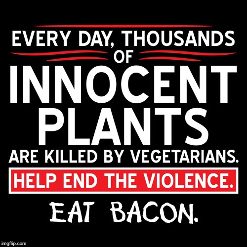 bacon the miracle food  | image tagged in plants,vegan,vegetarian,bacon | made w/ Imgflip meme maker