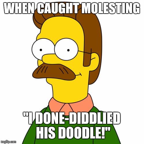 Ned Flanders | WHEN CAUGHT MOLESTING; "I DONE-DIDDLIED HIS DOODLE!" | image tagged in ned flanders | made w/ Imgflip meme maker