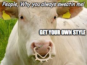 Fashionation! | People, Why you always sweatin me! GET YOUR OWN STYLE | image tagged in fashion,cows,girls,imitation,nose,rings | made w/ Imgflip meme maker