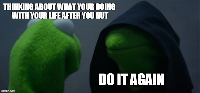 Evil Kermit | THINKING ABOUT WHAT YOUR DOING WITH YOUR LIFE AFTER YOU NUT; DO IT AGAIN | image tagged in memes,evil kermit | made w/ Imgflip meme maker