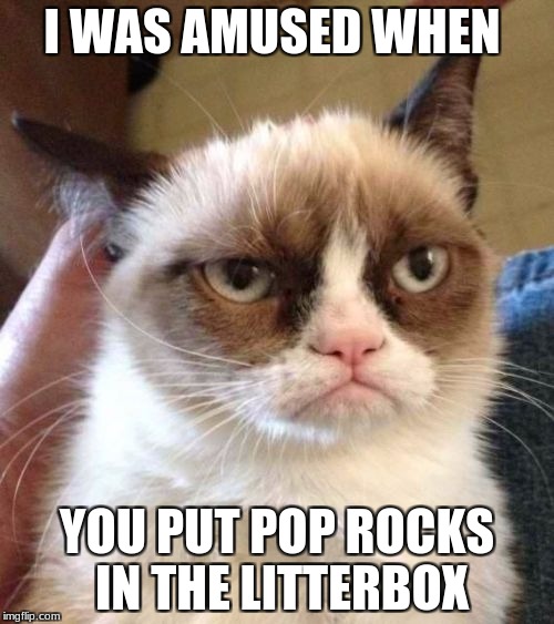Grumpy Cat Reverse Meme | I WAS AMUSED WHEN; YOU PUT POP ROCKS IN THE LITTERBOX | image tagged in memes,grumpy cat reverse,grumpy cat | made w/ Imgflip meme maker