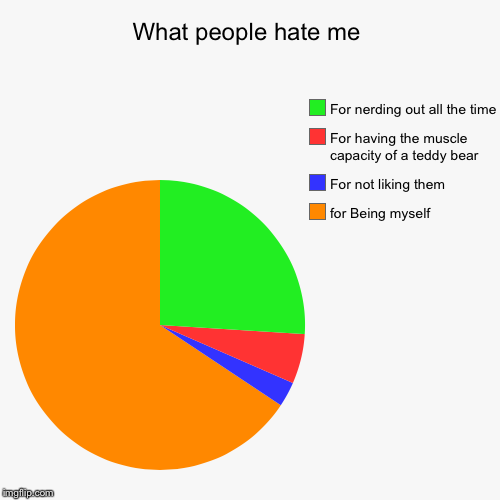 What people hate me | for Being myself, For not liking them, For having the muscle capacity of a teddy bear, For nerding out all the time | image tagged in funny,pie charts | made w/ Imgflip chart maker