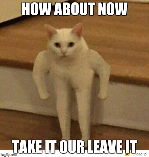 Buff Half Cat | HOW ABOUT NOW TAKE IT OUR LEAVE IT | image tagged in buff half cat | made w/ Imgflip meme maker