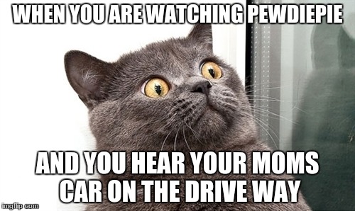 Scared Cat | WHEN YOU ARE WATCHING PEWDIEPIE; AND YOU HEAR YOUR MOMS CAR ON THE DRIVE WAY | image tagged in scared cat | made w/ Imgflip meme maker