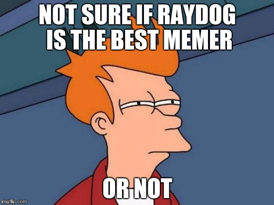 Futurama Fry | NOT SURE IF RAYDOG IS THE BEST MEMER; OR NOT | image tagged in memes,futurama fry | made w/ Imgflip meme maker