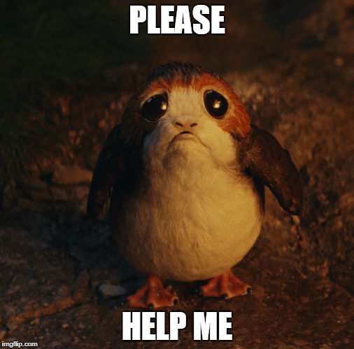 Porg needs help
 | PLEASE; HELP ME | image tagged in porg | made w/ Imgflip meme maker