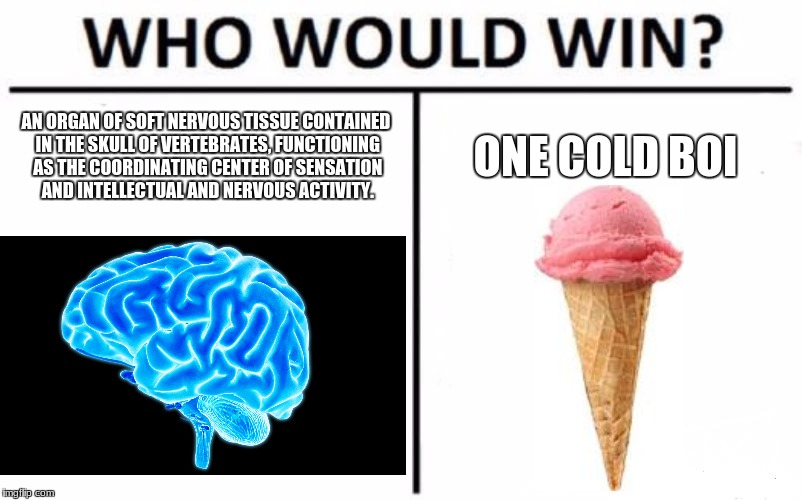Who Would Win? | AN ORGAN OF SOFT NERVOUS TISSUE CONTAINED IN THE SKULL OF VERTEBRATES, FUNCTIONING AS THE COORDINATING CENTER OF SENSATION AND INTELLECTUAL AND NERVOUS ACTIVITY. ONE COLD BOI | image tagged in memes,who would win | made w/ Imgflip meme maker