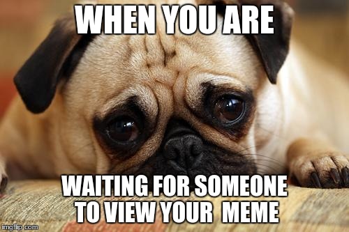 sad pug | WHEN YOU ARE; WAITING FOR SOMEONE TO VIEW YOUR  MEME | image tagged in sad pug | made w/ Imgflip meme maker