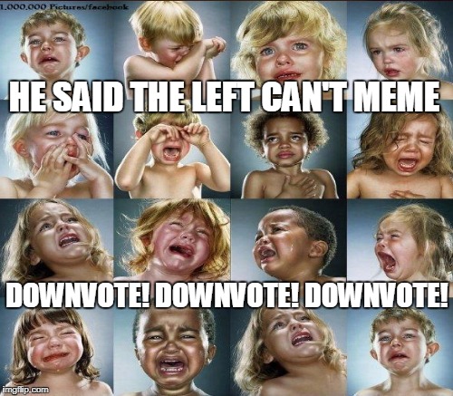 HE SAID THE LEFT CAN'T MEME DOWNVOTE! DOWNVOTE! DOWNVOTE! | made w/ Imgflip meme maker