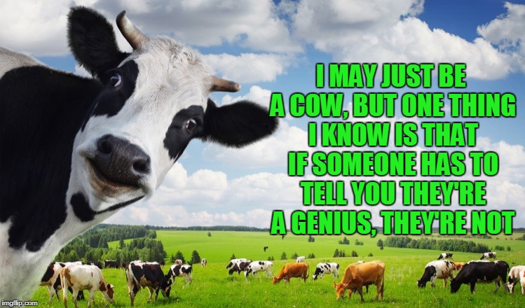 I MAY JUST BE A COW, BUT ONE THING I KNOW IS THAT IF SOMEONE HAS TO TELL YOU THEY'RE A GENIUS, THEY'RE NOT | made w/ Imgflip meme maker