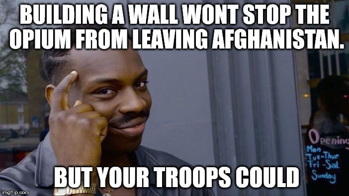 Roll Safe Think About It | BUILDING A WALL WONT STOP THE OPIUM FROM LEAVING AFGHANISTAN. BUT YOUR TROOPS COULD | image tagged in memes,roll safe think about it | made w/ Imgflip meme maker