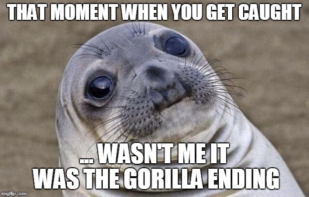 Awkward Moment Sealion Meme | THAT MOMENT WHEN YOU GET CAUGHT; ... WASN'T ME IT WAS THE GORILLA ENDING | image tagged in memes,awkward moment sealion | made w/ Imgflip meme maker