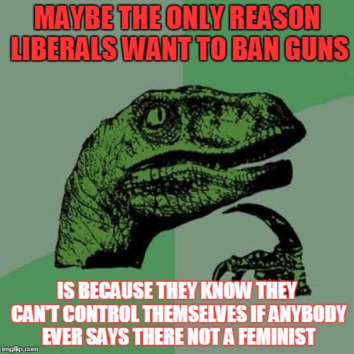Philosoraptor Meme | MAYBE THE ONLY REASON LIBERALS WANT TO BAN GUNS; IS BECAUSE THEY KNOW THEY CAN'T CONTROL THEMSELVES IF ANYBODY EVER SAYS THERE NOT A FEMINIST | image tagged in memes,philosoraptor | made w/ Imgflip meme maker