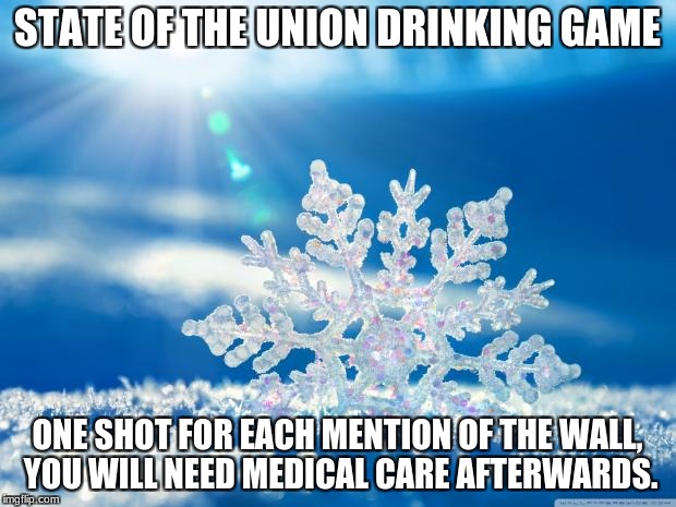 snowflake | STATE OF THE UNION DRINKING GAME; ONE SHOT FOR EACH MENTION OF THE WALL, YOU WILL NEED MEDICAL CARE AFTERWARDS. | image tagged in snowflake | made w/ Imgflip meme maker