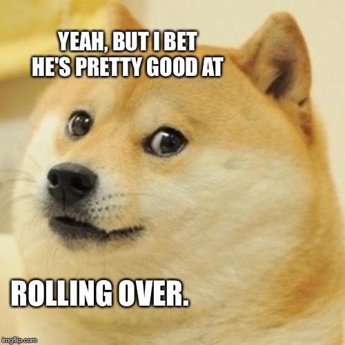 Doge Meme | YEAH, BUT I BET HE'S PRETTY GOOD AT ROLLING OVER. | image tagged in memes,doge | made w/ Imgflip meme maker