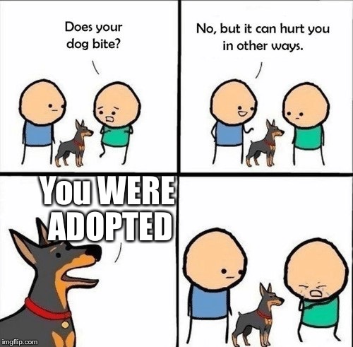 does your dog bite | You WERE ADOPTED | image tagged in does your dog bite | made w/ Imgflip meme maker