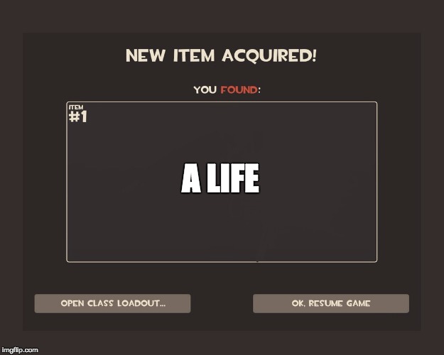 You got tf2 shit | A LIFE | image tagged in you got tf2 shit | made w/ Imgflip meme maker