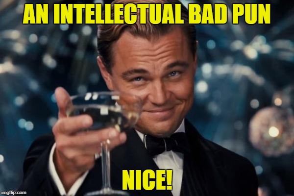 Leonardo Dicaprio Cheers Meme | AN INTELLECTUAL BAD PUN NICE! | image tagged in memes,leonardo dicaprio cheers | made w/ Imgflip meme maker