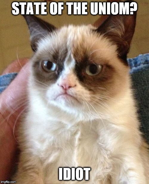 Grumpy Cat Meme | STATE OF THE UNIOM? IDIOT | image tagged in memes,grumpy cat | made w/ Imgflip meme maker