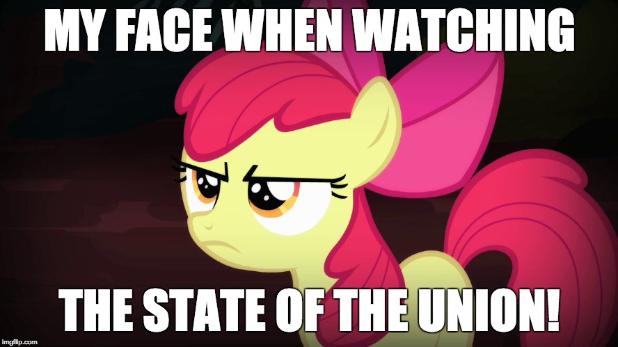 This is going to be fun! | MY FACE WHEN WATCHING; THE STATE OF THE UNION! | image tagged in angry applebloom,memes,state of the union | made w/ Imgflip meme maker