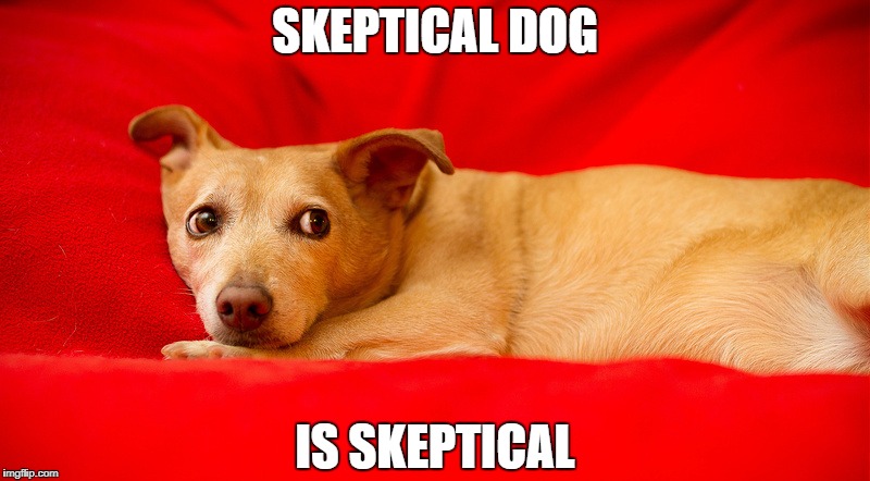 SKEPTICAL DOG; IS SKEPTICAL | image tagged in skeptical dog | made w/ Imgflip meme maker