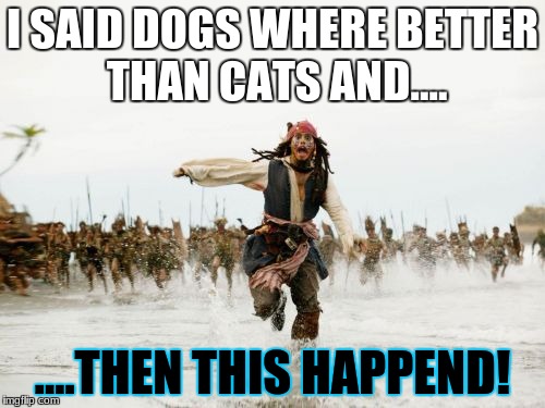 Jack Sparrow Being Chased Meme | I SAID DOGS WHERE BETTER THAN CATS AND.... ....THEN THIS HAPPEND! | image tagged in memes,jack sparrow being chased | made w/ Imgflip meme maker