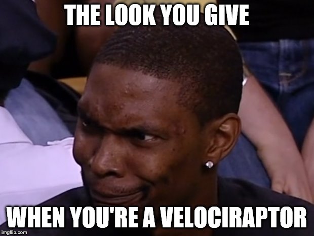 THE LOOK YOU GIVE; WHEN YOU'RE A VELOCIRAPTOR | image tagged in memes,velociraptor,chris bosh,that look you give | made w/ Imgflip meme maker