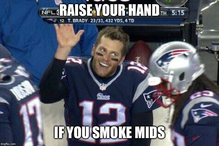 RAISE YOUR HAND; IF YOU SMOKE MIDS | image tagged in tom brady,superbowl,mids | made w/ Imgflip meme maker