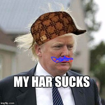 Donald Trump | MY HAR SUCKS | image tagged in donald trump,scumbag | made w/ Imgflip meme maker