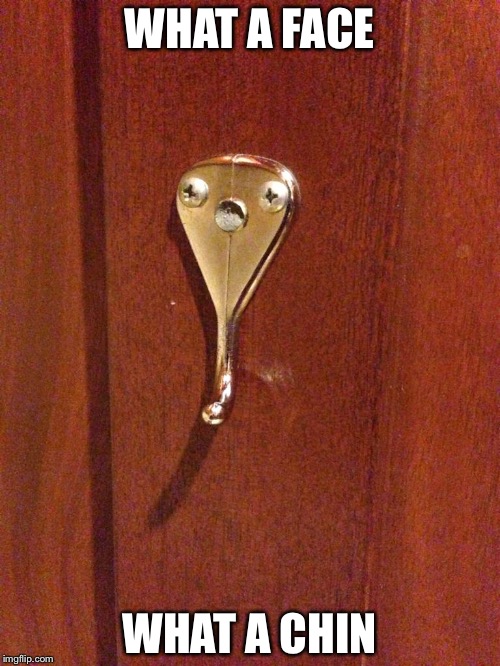 What a Coat Hanger | WHAT A FACE; WHAT A CHIN | image tagged in memes,lookalike | made w/ Imgflip meme maker