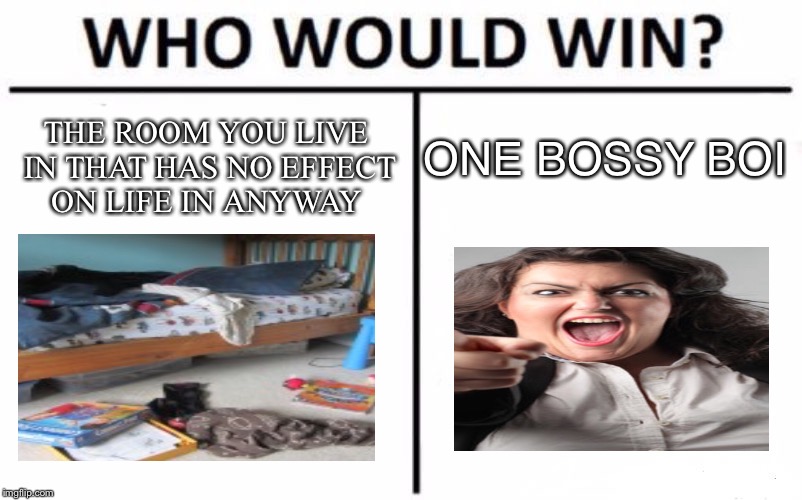 Who Would Win? Meme | THE ROOM YOU LIVE IN THAT HAS NO EFFECT ON LIFE IN ANYWAY; ONE BOSSY BOI | image tagged in memes,who would win | made w/ Imgflip meme maker