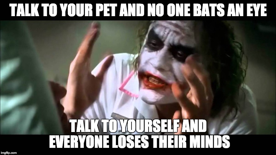 Talking to Your Pets Is Like Talking to Yourself...Right? | TALK TO YOUR PET AND NO ONE BATS AN EYE; TALK TO YOURSELF AND EVERYONE LOSES THEIR MINDS | image tagged in joker nobody bats an eye,joker,and everybody loses their minds | made w/ Imgflip meme maker