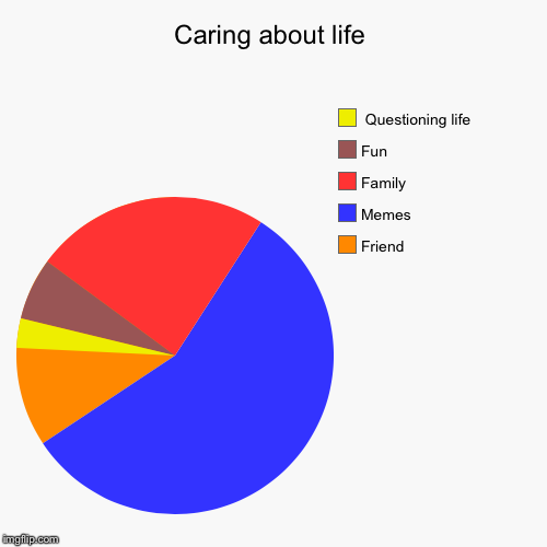 Caring about life | Friend , Memes, Family , Fun,  Questioning life | image tagged in funny,pie charts | made w/ Imgflip chart maker