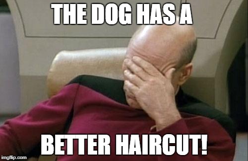 Captain Picard Facepalm Meme | THE DOG HAS A BETTER HAIRCUT! | image tagged in memes,captain picard facepalm | made w/ Imgflip meme maker