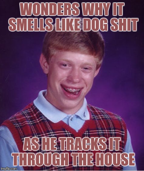 What stinks? | WONDERS WHY IT SMELLS LIKE DOG SHIT; AS HE TRACKS IT THROUGH THE HOUSE | image tagged in memes,bad luck brian | made w/ Imgflip meme maker