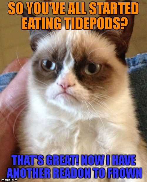 Grumpy cat approves... maybe? | SO YOU'VE ALL STARTED EATING TIDEPODS? THAT'S GREAT! NOW I HAVE ANOTHER READON TO FROWN | image tagged in memes,grumpy cat,tide pod challenge | made w/ Imgflip meme maker