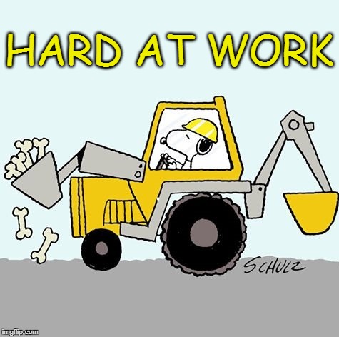 Hard At Work | HARD AT WORK | image tagged in snoopy,peanuts,work,dog bones | made w/ Imgflip meme maker