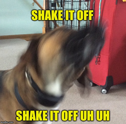 https://www.youtube.com/watch?v=nfWlot6h_JM | SHAKE IT OFF; SHAKE IT OFF UH UH | image tagged in song | made w/ Imgflip meme maker